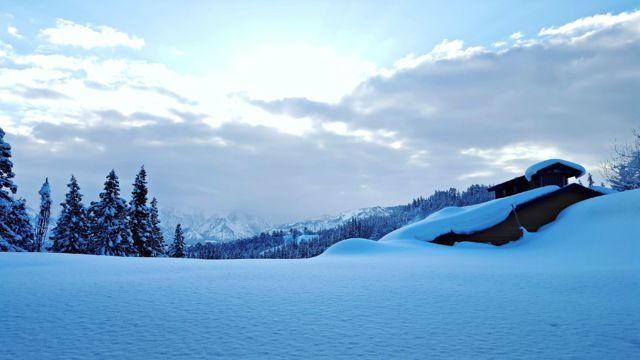 a0182281_17433359.jpg