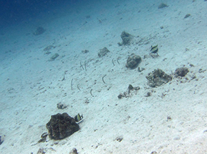 f0144385_18105818.jpg