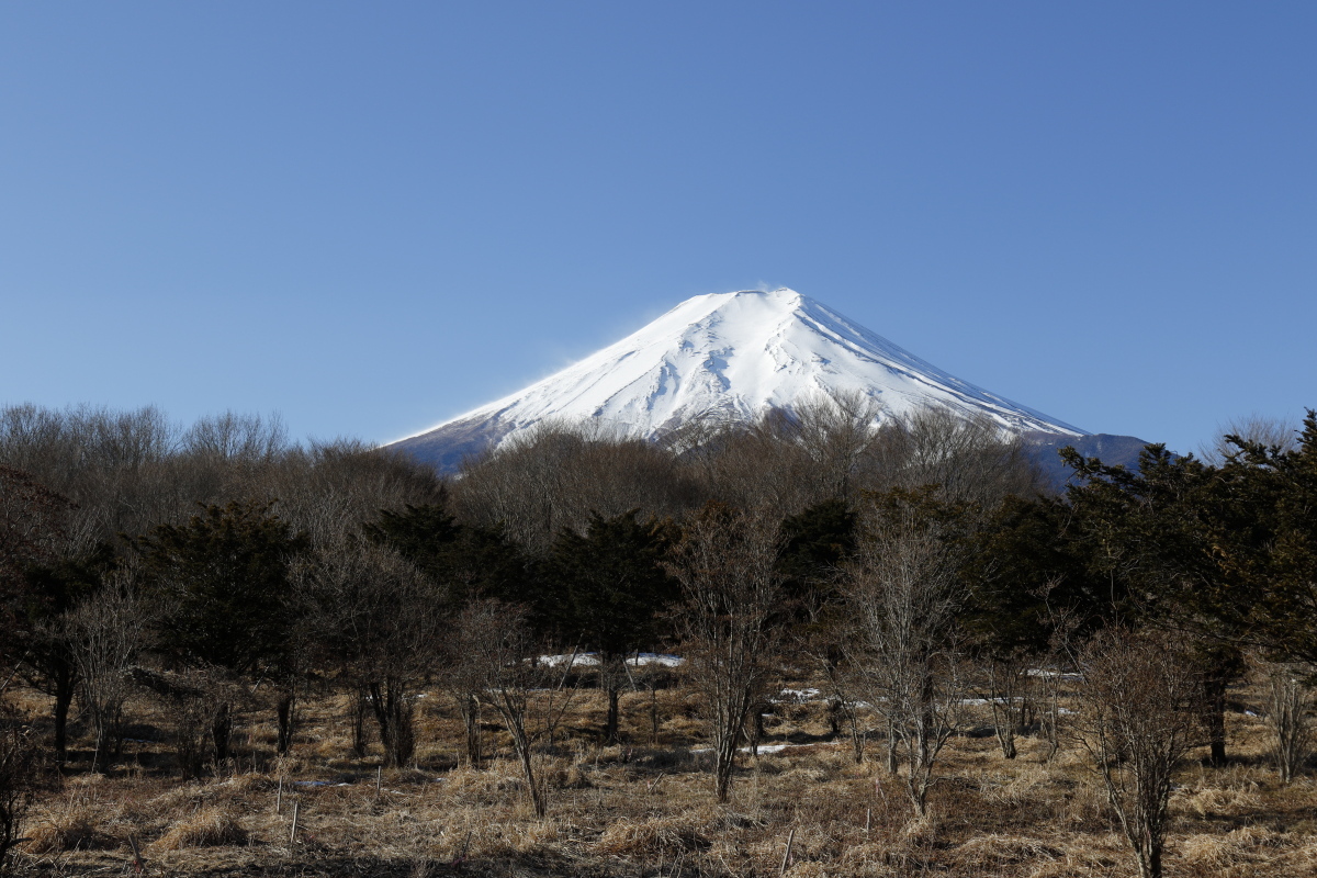 a0290990_21404114.jpg