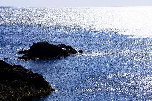 e0137200_226247.jpg