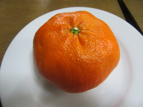 f0231709_2156457.jpg