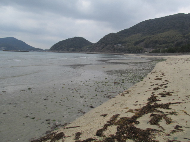 f0341616_15495562.jpg