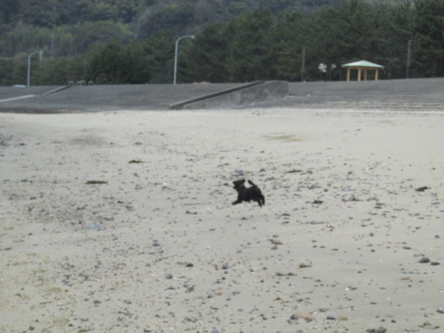 f0341616_15530976.jpg