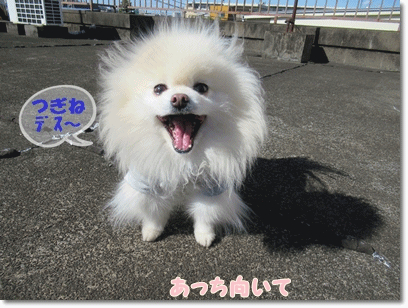b0167519_22375332.gif