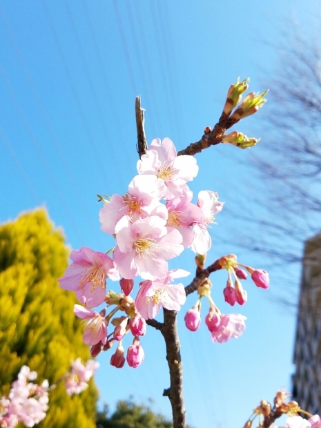b0003126_23291861.jpg