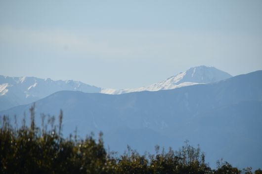 c0162128_1644266.jpg