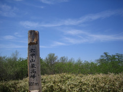e0376642_14365340.jpg