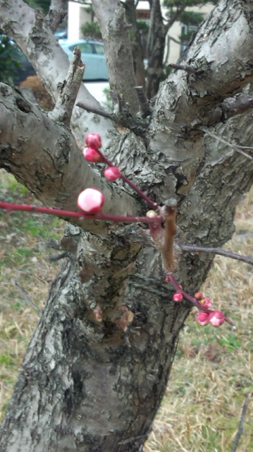 c0011649_14573010.jpg