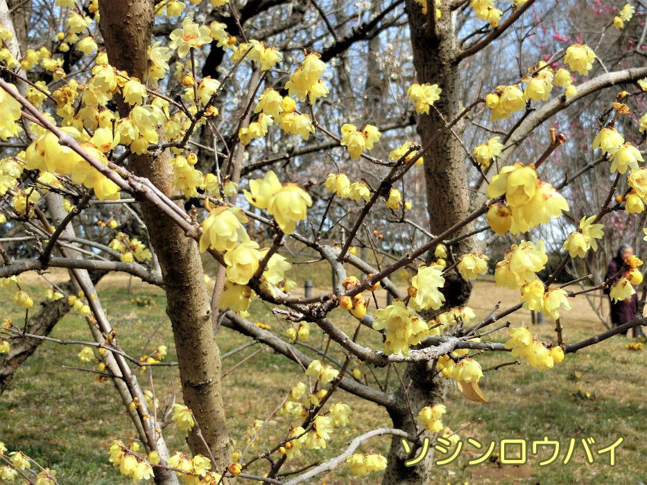 b0279153_1533454.jpg