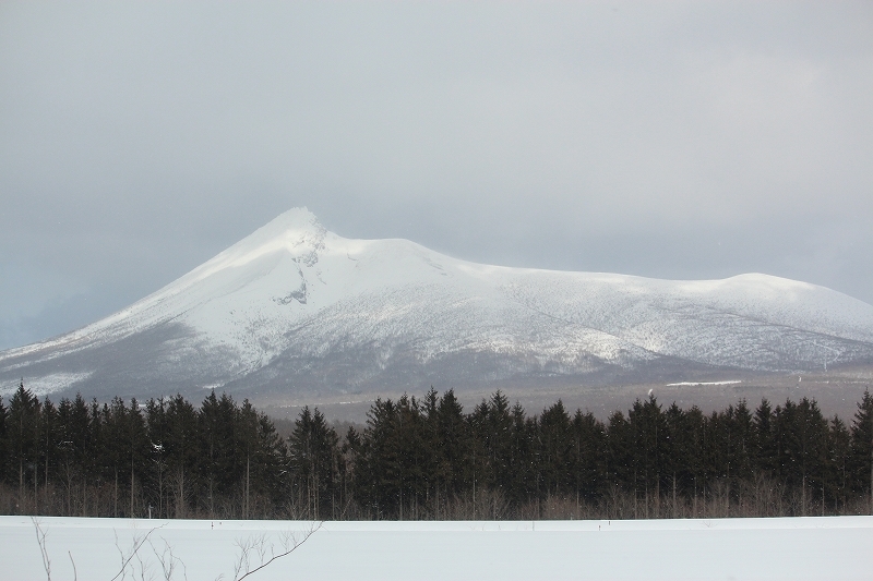 b0250154_20493214.jpg