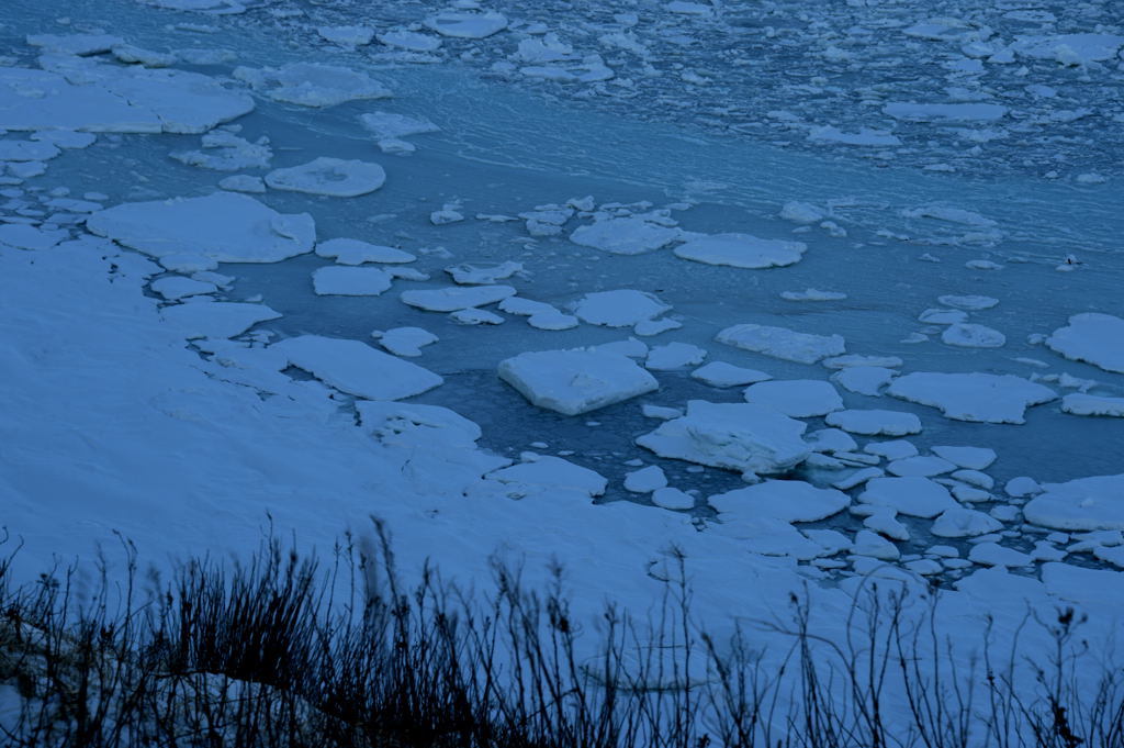 f0323171_13302654.jpg