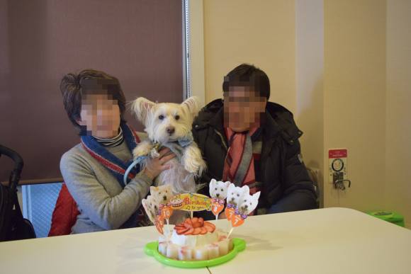 b0242873_23280153.png
