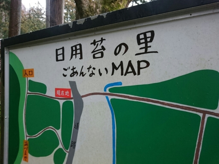 d0095673_17474286.jpg