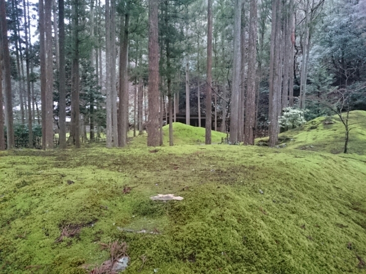 d0095673_17475090.jpg
