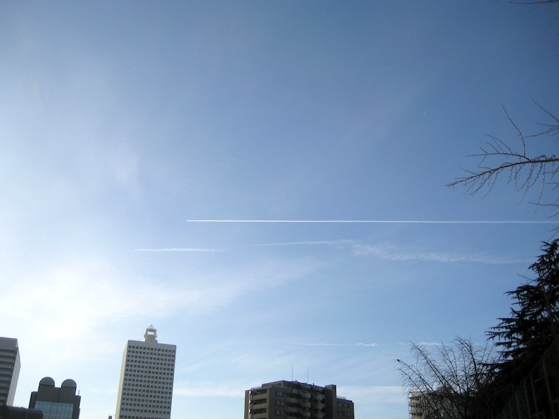 b0057679_08084364.jpg