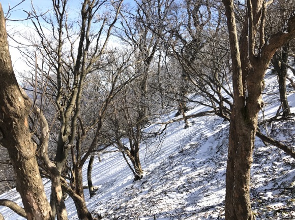 e0024081_10560226.jpg