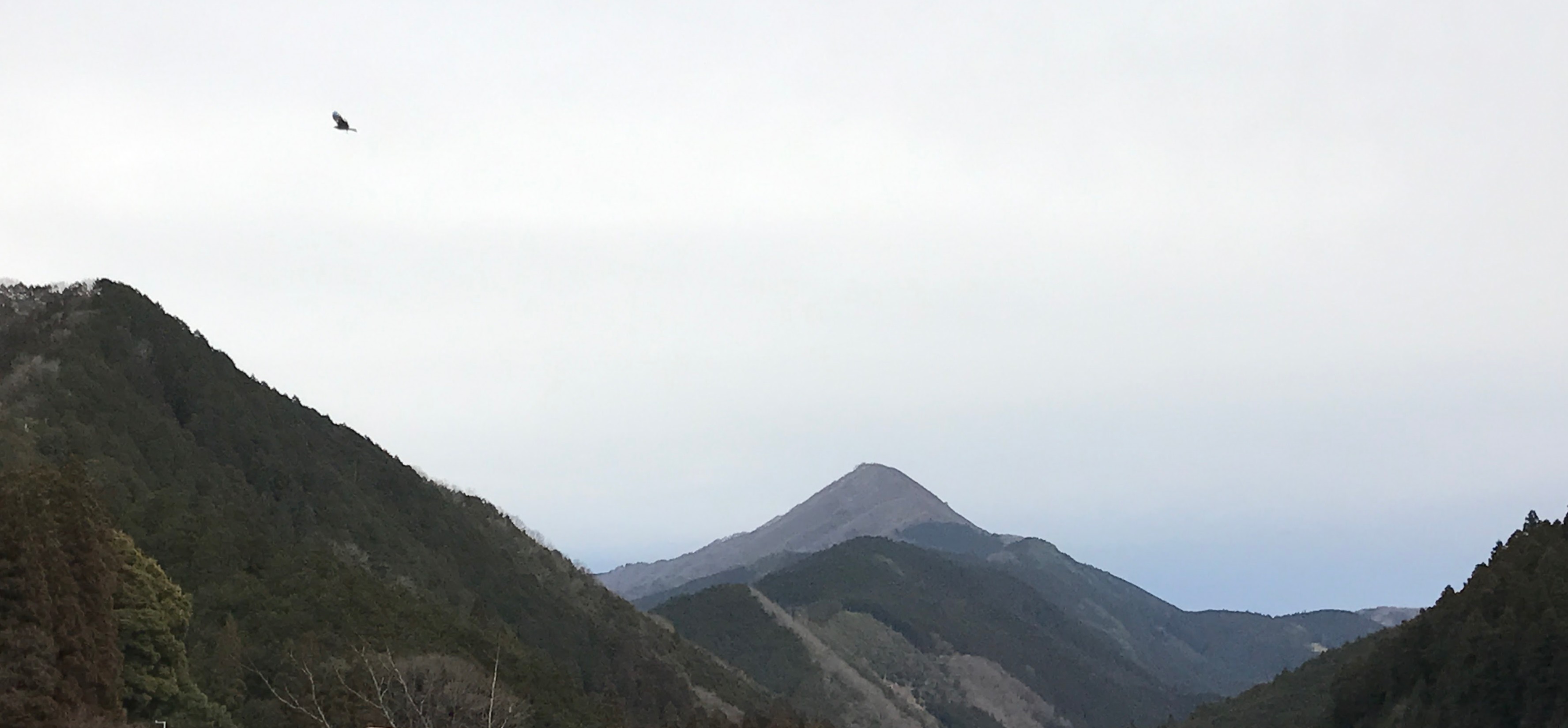e0024081_11495196.jpg