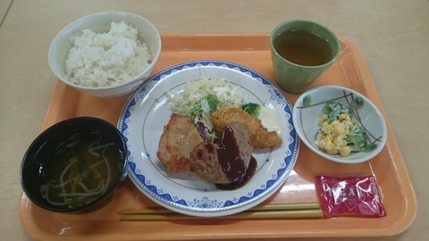 f0051283_225631.jpg