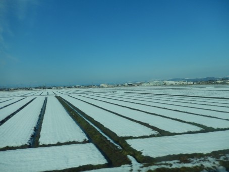 c0144185_201334.jpg