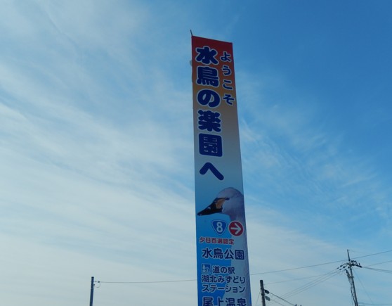 c0144185_2015842.jpg