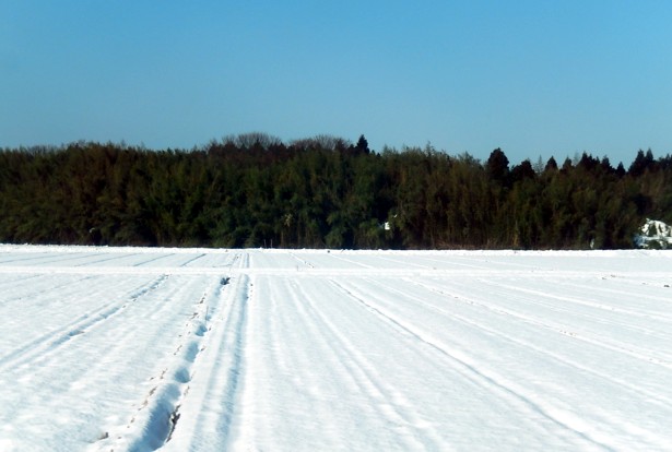 c0144185_202951100.jpg