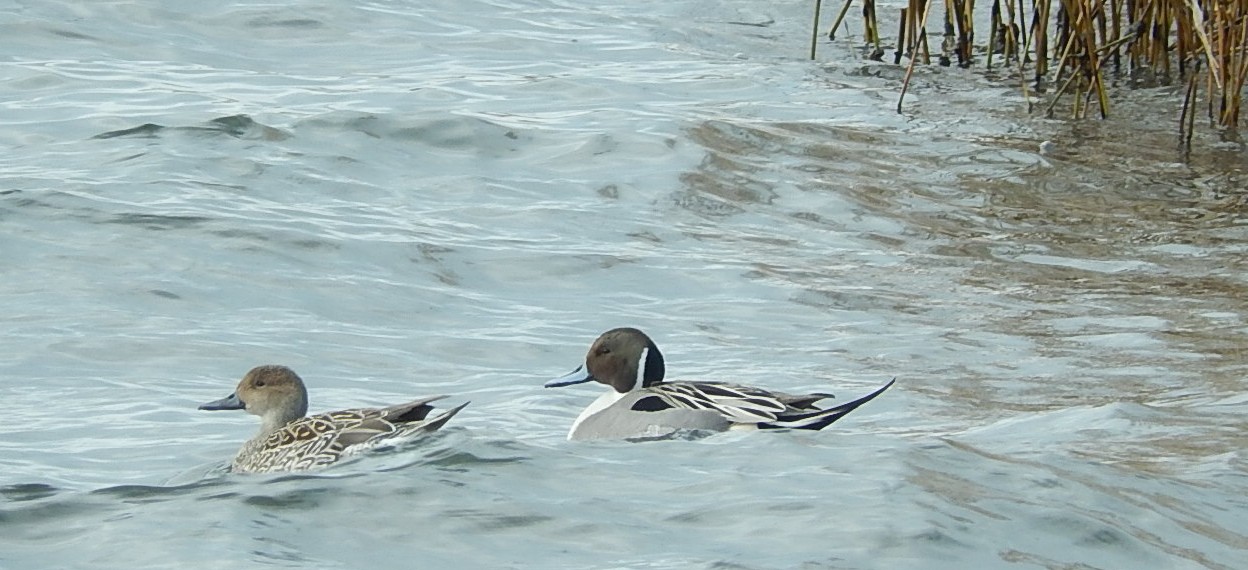 c0144185_2051359.jpg