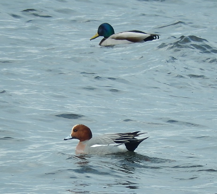 c0144185_212440.jpg