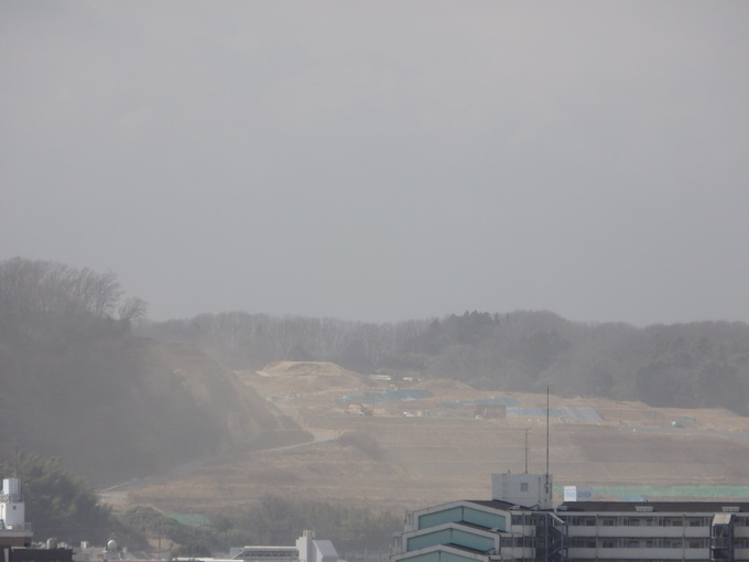 b0197486_8131752.jpg