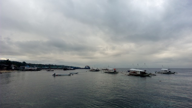 a0109187_08045904.jpg