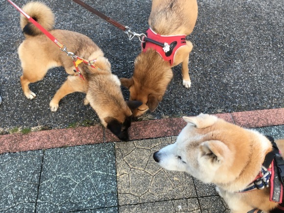 c0123890_19503741.jpeg