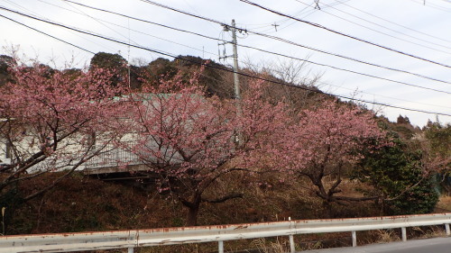 a0338094_02034401.jpg