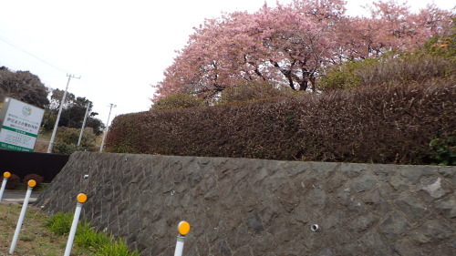 a0338094_02082093.jpg