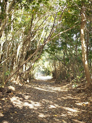 e0209900_23532834.jpg