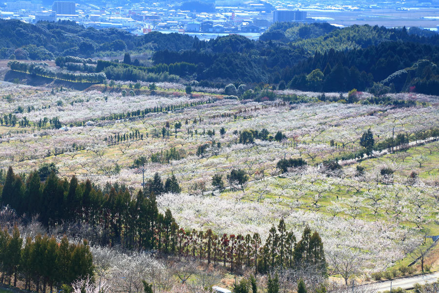 e0093903_21230336.jpg