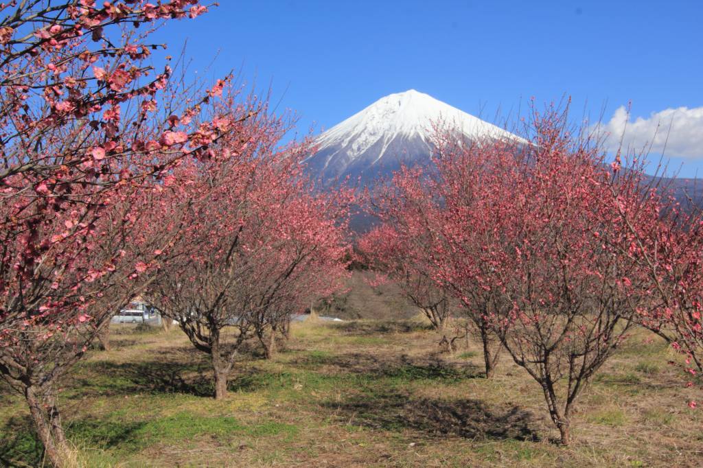 a0188405_22452480.jpg