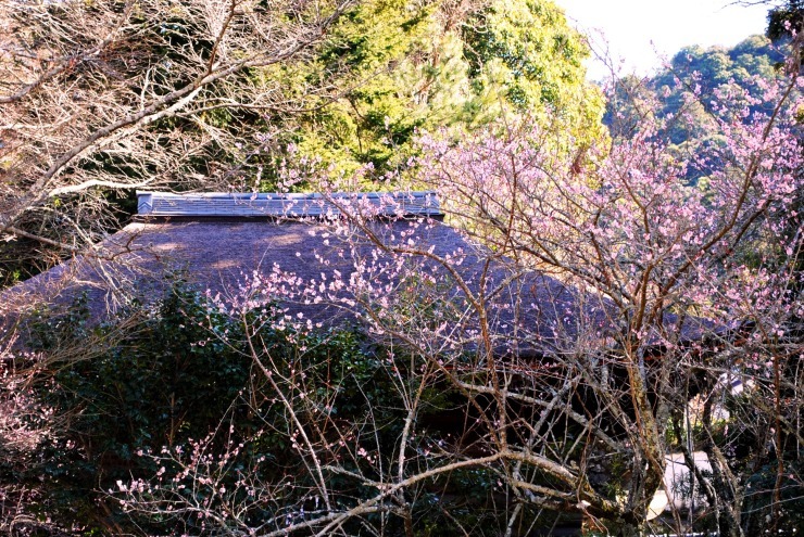 f0361605_22490180.jpg