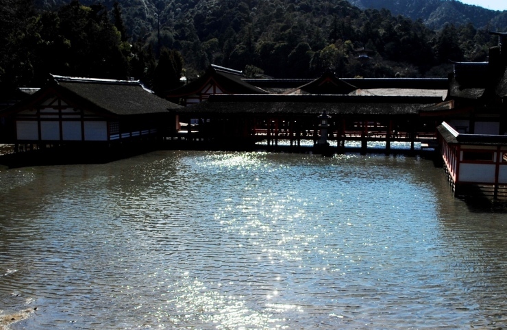 f0361605_22520697.jpg