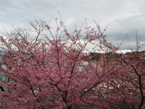 f0231709_031835.jpg