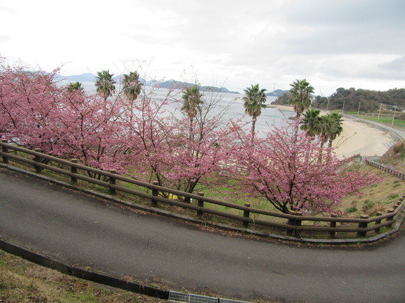 f0231709_032559.jpg