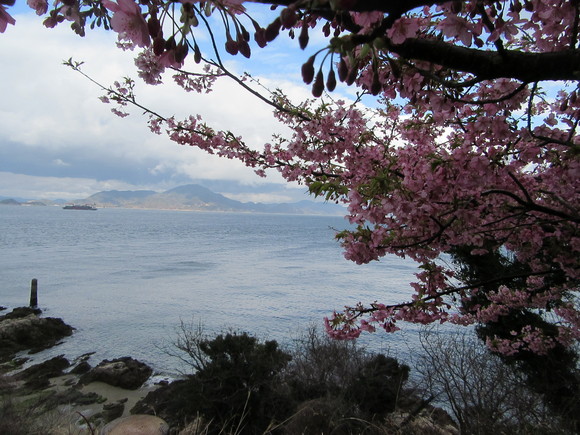 f0231709_0371729.jpg
