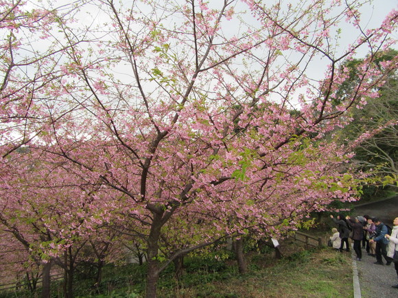 f0231709_0484611.jpg