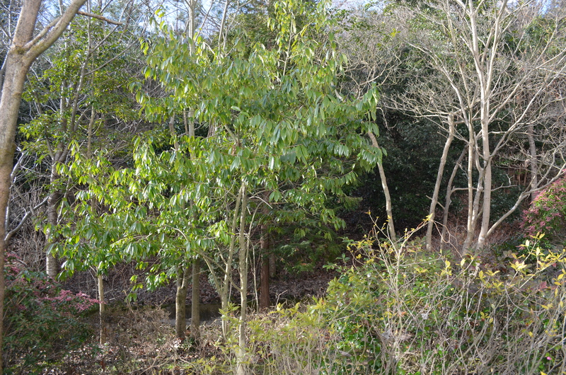 f0191517_95697.jpg