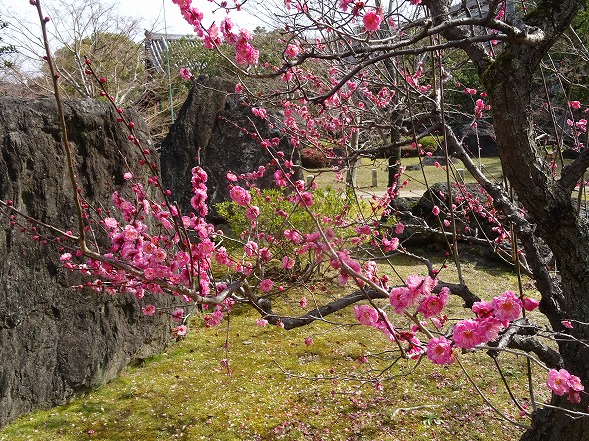 b0299042_1542328.jpg