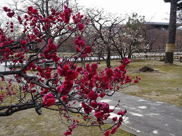 b0299042_15425615.jpg