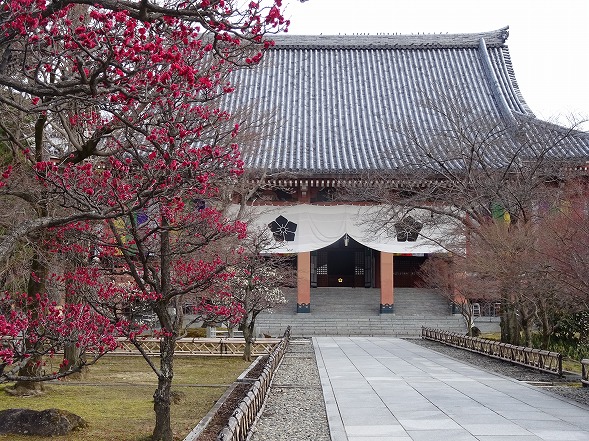 b0299042_15433240.jpg