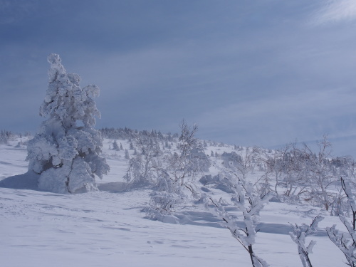 b0335256_14463489.jpg