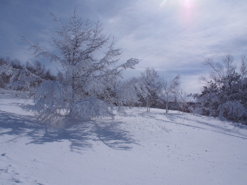 b0335256_17415016.jpg
