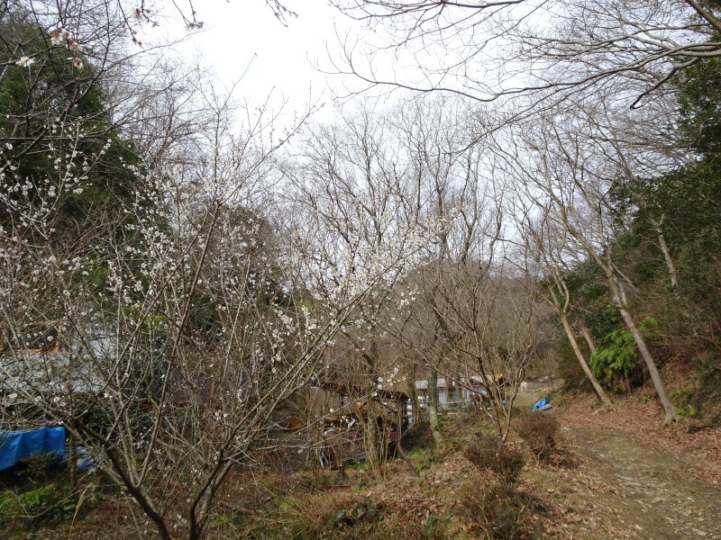 c0108460_20412257.jpg