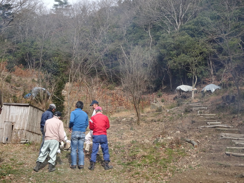 c0108460_20415431.jpg