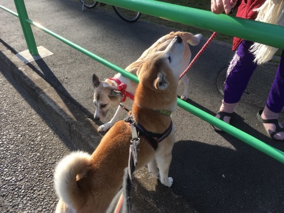 c0123890_19592785.jpeg